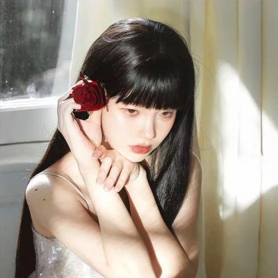甄嬛传封面